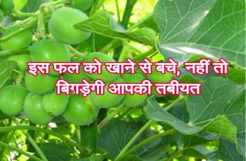 Jatropha fruit eating caused health deterioration of 4 child खेल - खेल में बच्चियों ने सब्जी बना कर खा लिया इसका फल, बिगड़ी तबीयत, हुआ ये हाल