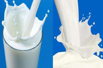 annapurna milk scheme in rajasthan स्कूलों में बच्चों को नहीं मिला दूध,भुगतान हो तो सुचारू हो दूध आपूर्ति