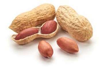 Peanut in Alwar like this, shopkeepers at every step अलवर में मूंगफली की ऐसी बहार, हर कदम पर दुकानदार
