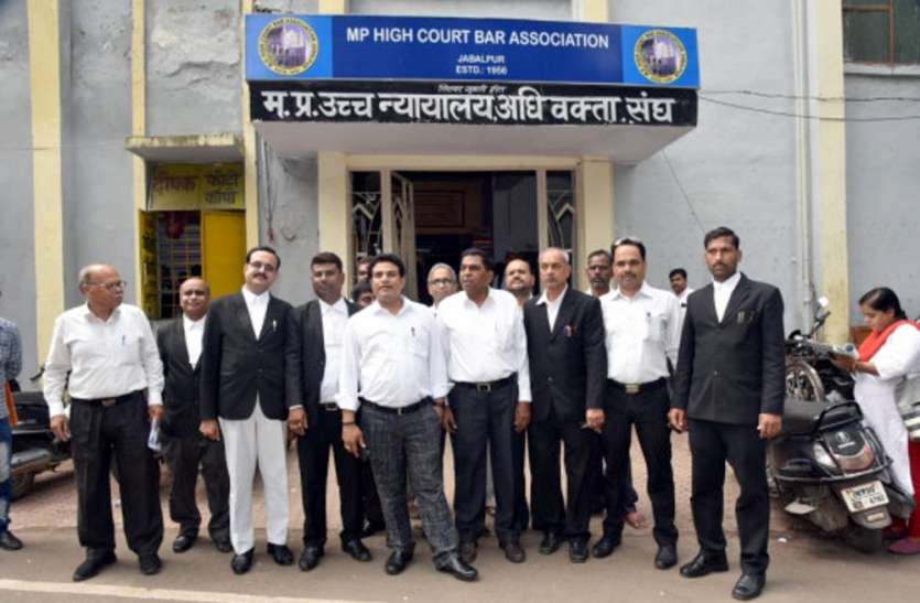 MP State Advocate Union Election: 10 thousand voters in Vindhya region MP राज्य अधिवक्ता संघ चुनाव: विंध्य क्षेत्र में है 10 हजार से अधिक वोटर, सतना में 2308