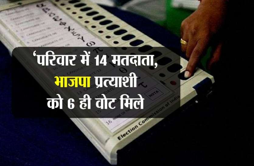 परिवार में 14 वोट, भाजपा प्रत्याशी को छह ही मिले निकाय चुनाव में यहां हुआ ऐसा, परिवार में 14 वोट, भाजपा प्रत्याशी को छह ही मिले