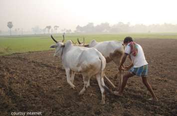 Minimum Support Price Increases Of Rabi And Kharif Crops, Udaipur किसानों की होगी बल्ले-बल्ले, रबी व खरीफ फसलों का न्यूनतम समर्थन मूल्य बढ़ा