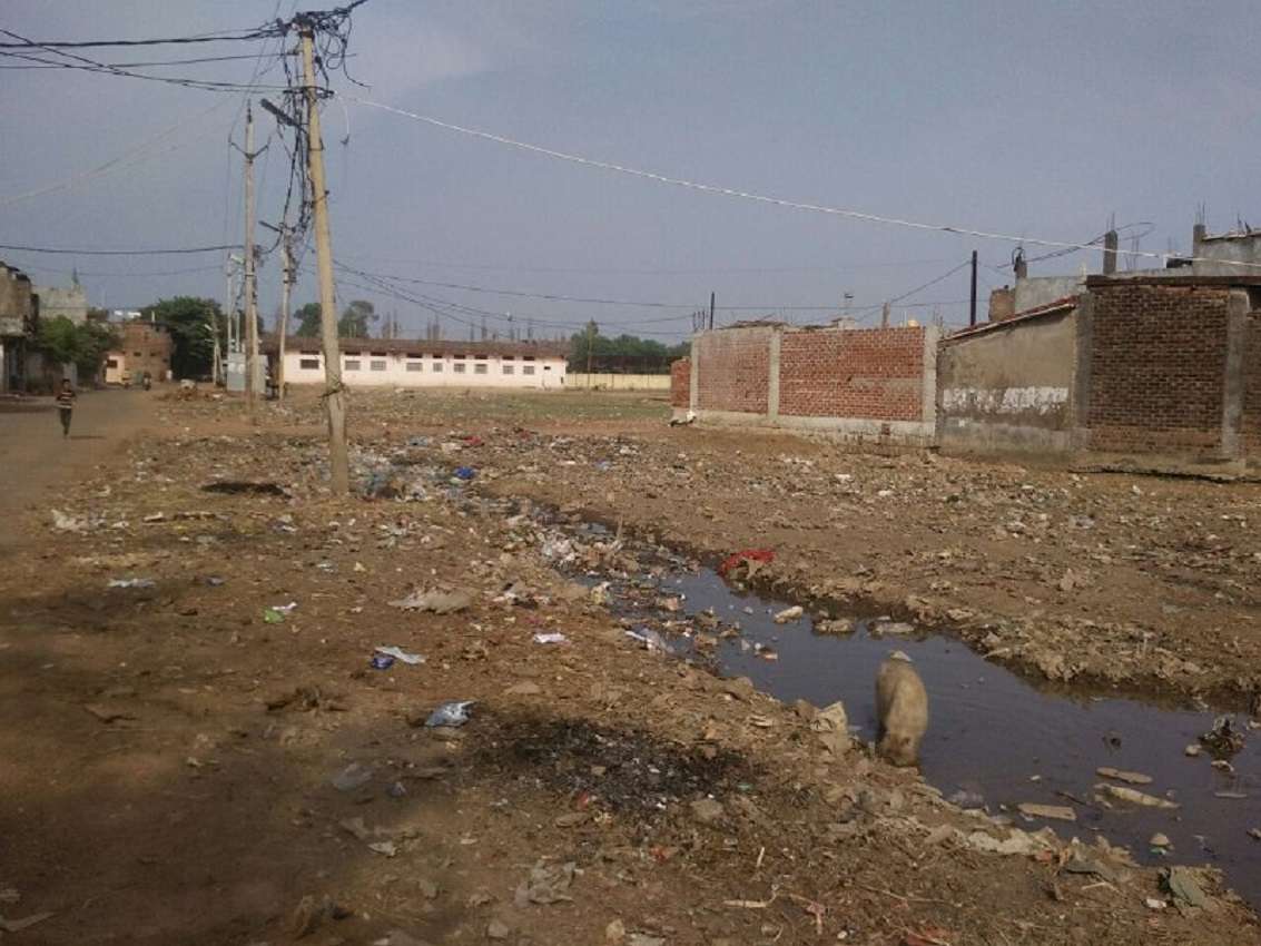 जिस वार्ड में कलेक्टर गए थे निरीक्षण करने वहां आज भी गंदगी के हालात