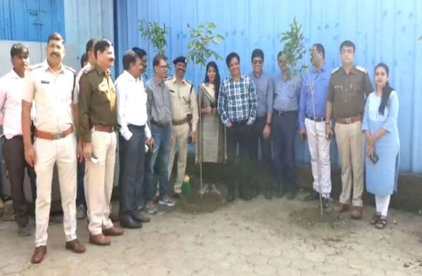 शराब दुकान संचालकों को परिसर में लगाना होंगे 10-10 पौधे, अगर सूख गए तो मिलेगा ये सजा शराब दुकान संचालकों को परिसर में लगाना होंगे 10-10 पौधे, अगर सूख गए तो मिलेगी ये सजा