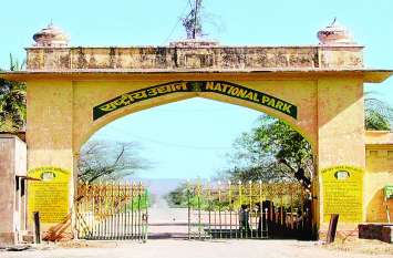 Sariska gets a tiger and a tigress सरिस्का को मिले एक बाघ व एक बाघिन