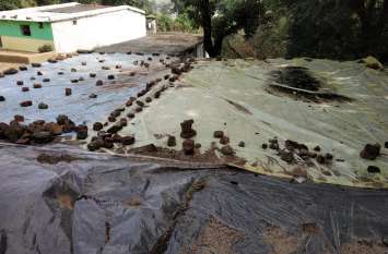 Students studying under the shadow of danger खतरे के साये में अध्ययन कर रहे विद्यार्थी