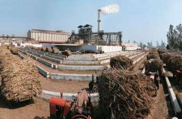 Sugar Mill Of Haryana Is Running In Loss चीनी मील को घाटे से उबारने के लिए करेंगे कवायद