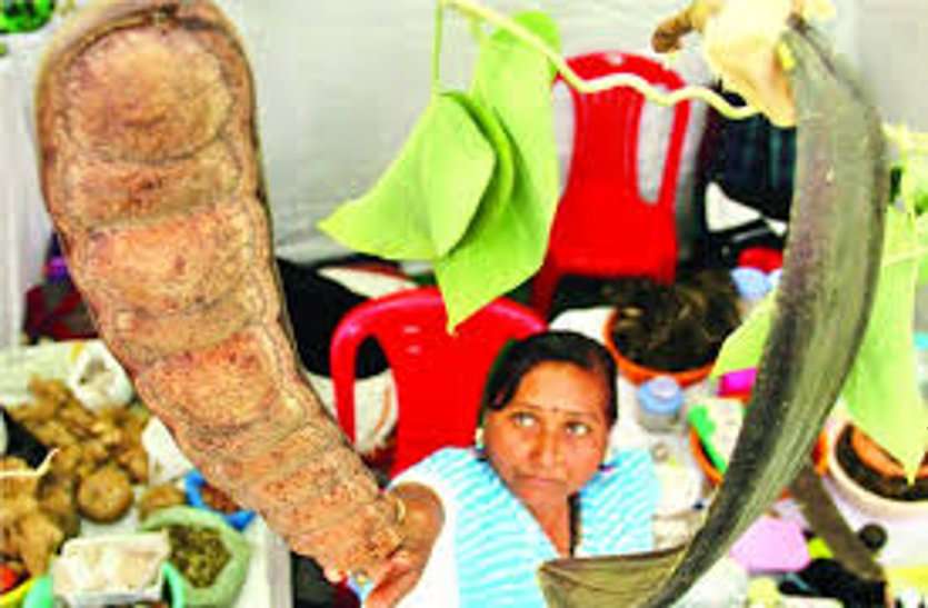 भोपाल के इस अंतरराष्ट्रीय मेले में आएंगे विदेशों से भी लोग! परंपरागत इलाज की औषधियों से लेकर जानिये क्या कुछ होगा खास