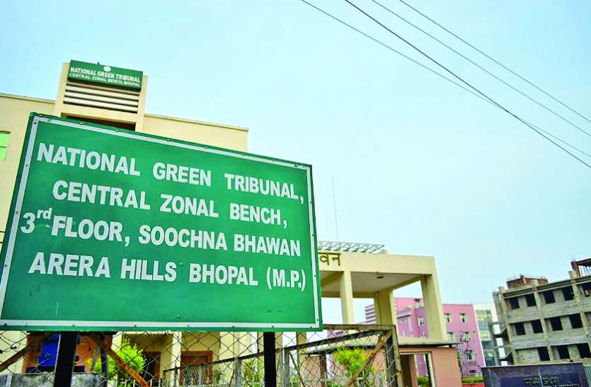 NGT NGT के आदेश के बावजूद कलियासोत नदी के ग्रीनबेल्ट से नहीं हटी एक भी बिल्डिंग