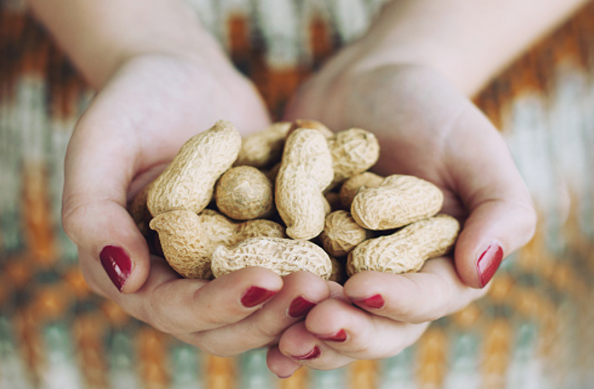 Peanuts Nutrition दूध, बादाम, अंडों से कहीं ज्यादा हैं मूंगफली के फायदे, रात को भिगोकर खाएं, जानलेवा बीमारियां कोसों दूर रहेंगी