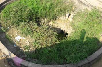 Beauty should be improved if cleaning of the stepwell of irrigation co सिंचाई कॉलोनी के बावड़ी की सफाई हो तो निखरे सौंदर्य