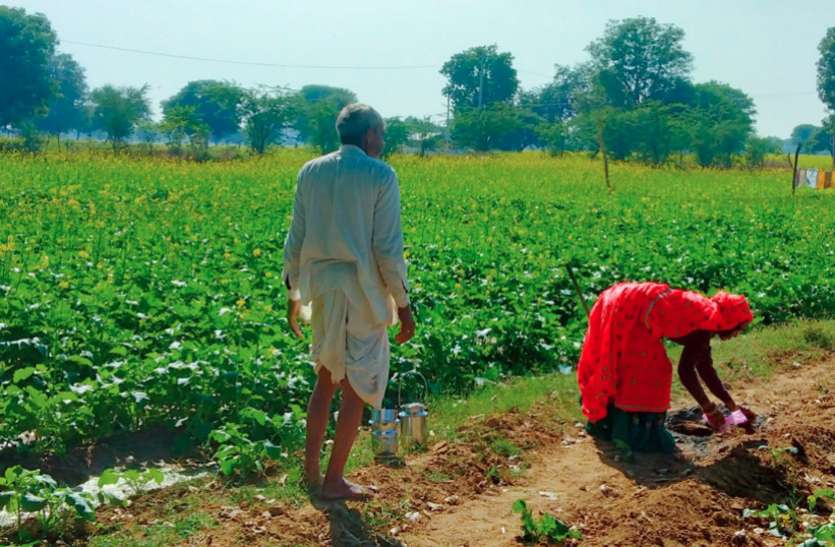 pradhan_mantri_fasal_bima_yojana.jpg राजस्थान के हर जिले के किसानों के लिए खास खबर, 31 दिसंबर से पहले करें योजना के लिए आवेदन