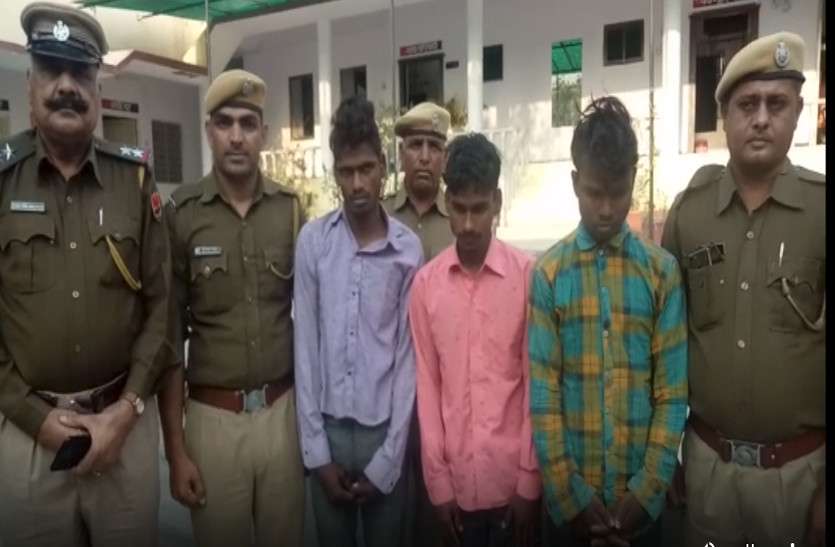 Thief gang busted in rajsamand : 3 accused of theft arrested चोर गिरोह का हुआ पर्दाफाश, तीन शातिर चढ़े पुलिस के हत्थे, चंदन की चोरियां भी कबूलीं