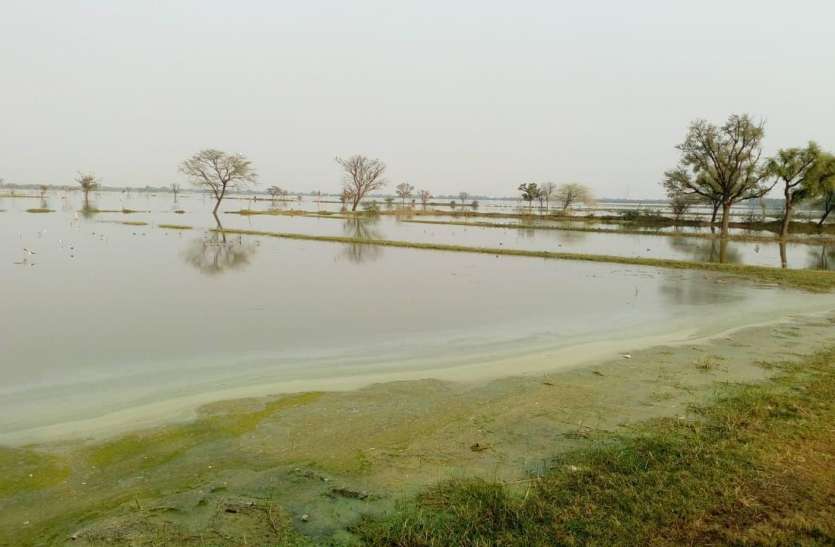 उपखंड अधिकारी का आदेश नहीं मान रहा सिंचाई विभाग नहरें खोलने के दिए थे निर्देश उपखंड अधिकारी का आदेश नहीं मान रहा सिंचाई विभाग नहरें खोलने के दिए थे निर्देश