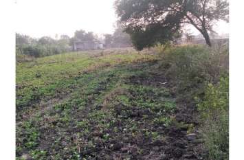 Illegal occupation of government land, colony cut, plot also sold सरकारी जमीन पर अवैध कब्जा किया, कॉलोनी काटी, प्लॉट भी बेच डाले