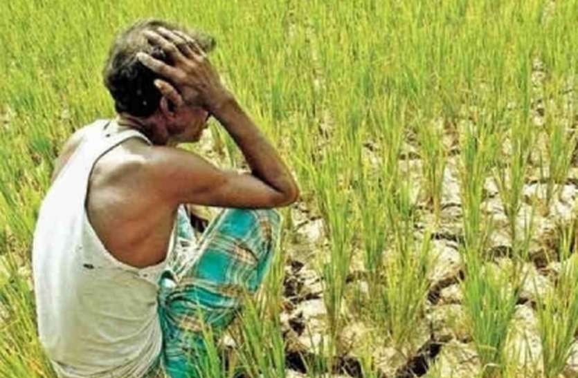 पोर्टल के पंगे में फंसा करोड़ों का क्लेम पोर्टल के पंगे में फंसा करोड़ों का क्लेम