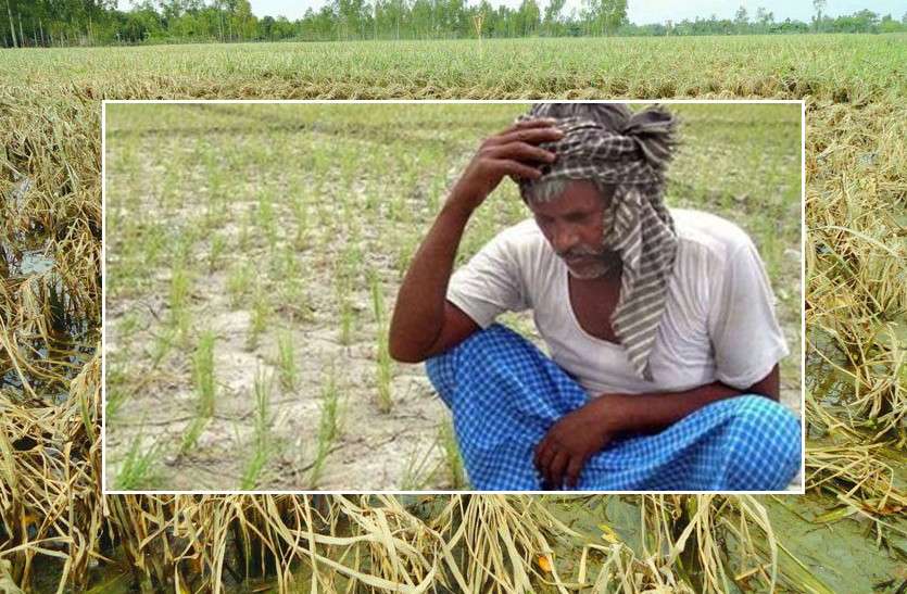 rajasthan_farmer.jpg किसान नेताओं ने दिखाई ऐसी हेकड़ी कि तहसीलदार प्यारभरी बातें करने लगे, देखें वीडियो
