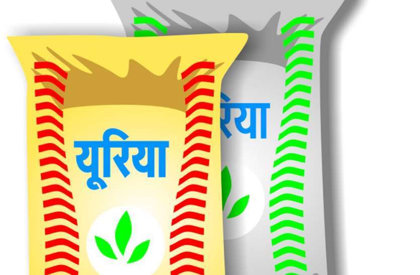 यूरिया के लिए मारामारी : यहां पुलिस थाने से किसानों को बांटा जा रहा खाद यूरिया के लिए मारामारी : यहां पुलिस थाने से किसानों को बांटा जा रहा खाद
