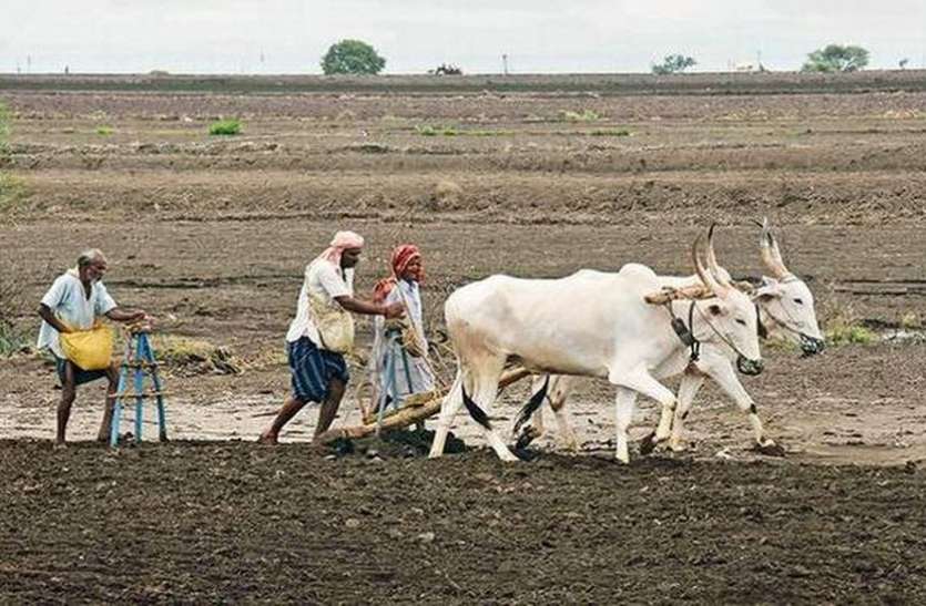 फसल बीमा में पंजीयन कराने उमड़े किसान फसल बीमा में पंजीयन कराने उमड़े किसान