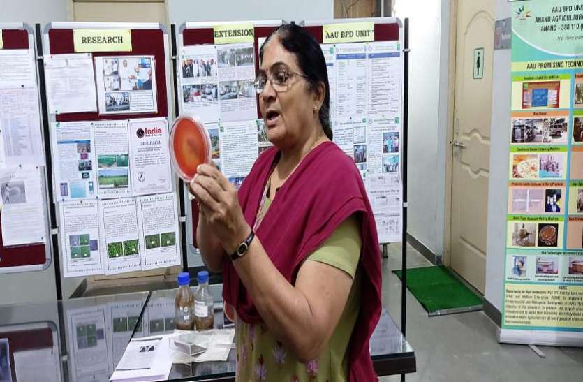 अब केले के कचरे से बनेगी कीमती खाद अब केले के कचरे से बनेगी कीमती खाद