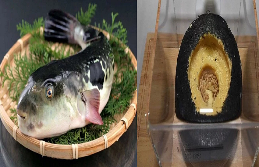 fish.png