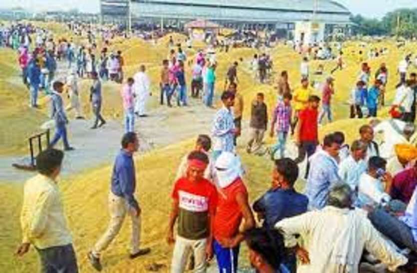 भामाशाह मंडी अग्रिम आदेश तक बंद रहेगी भामाशाह मंडी अग्रिम आदेश तक बंद रहेगी