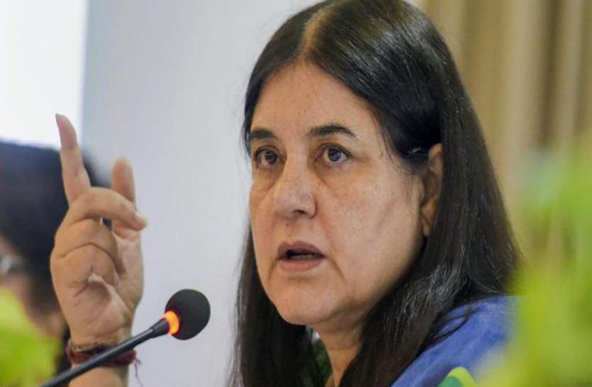 मेनका गांधी का सुझाव, पन्नी इक्ट्ठा कर कलेक्शन सेंटर में लाएं, प्लास्टिक को करें तेल में कंवर्ट मेनका गांधी का सुझाव, पन्नी इक्ट्ठा कर कलेक्शन सेंटर में लाएं, प्लास्टिक को करें तेल में कंवर्ट