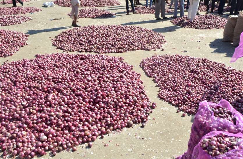 Even after the arrival of new onions, sharp stains are visible यहां नई प्याज आने के बाद भी दिखाई दे रहे है तीखे तेवर