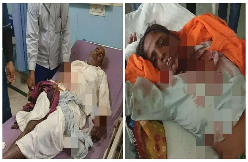 Panther Attack Two More People In Alwar Buffer Zone अलवर बफर जोन में लोगों पर लगातार हमला कर रहा पैंथर, आज दो लोगों को किया घायल, दो दिन में 6 जनों पर किया हमला