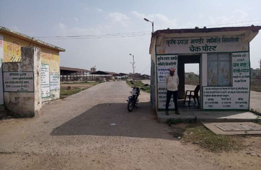 Purchase centers did not grow in Singrauli एक सप्ताह बाद होगी धान की खरीद, किसानों को अभी करना होगा इंतजार