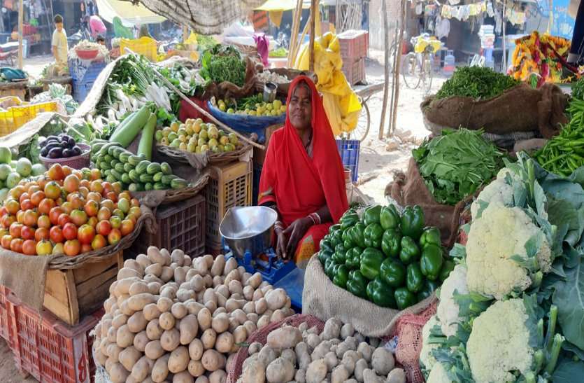 VEGETABLES यदि मौसम के हाल ऐसे ही रहे तो खेतों में खड़ी सब्जियों को नुकसान होने की आशंका