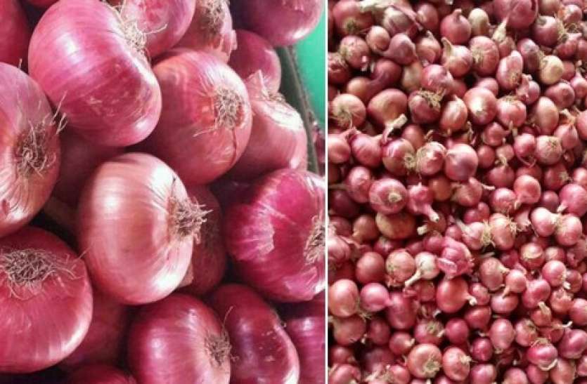onionn.jpg महंगाई खा रही ताव, प्याज सेब के भाव