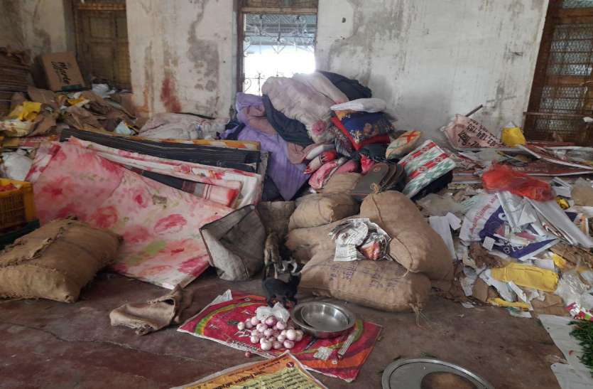 Vegetables kept in junk, insects running, rats and cats कबाड़ में रखी सब्जियां, दौड़ रहे थे कीड़े, चूहे-बिल्लियां