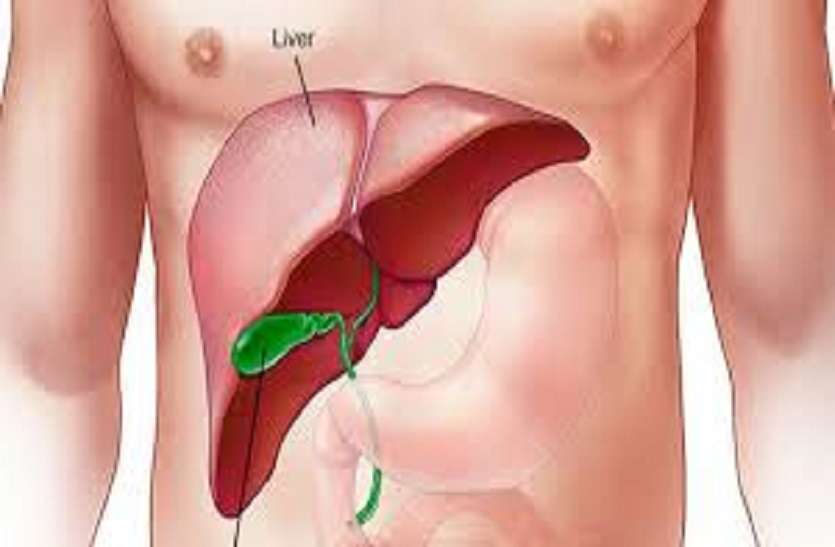 liver आईसीएमआर की रिपोर्ट के अनुसार बढ़ रही हैं लिवर की बीमारियां