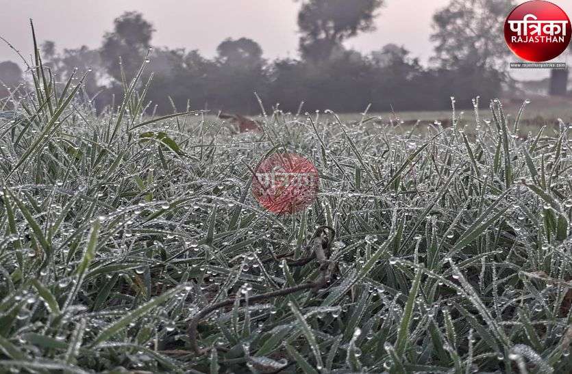 यहां मौसम ने बदला मिजाज : आसमां में छाई धुंध, तो खेतों में पत्तों पर दिखी ओस की बूंदें यहां मौसम ने बदला मिजाज : आसमां में छाई धुंध, तो खेतों में पत्तों पर दिखी ओस की बूंदें