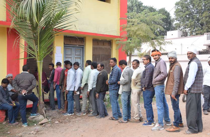 Urea crisis deepens, farmers line started यूरिया संकट गहराने लगा, लगने लगी किसानों की लाइन