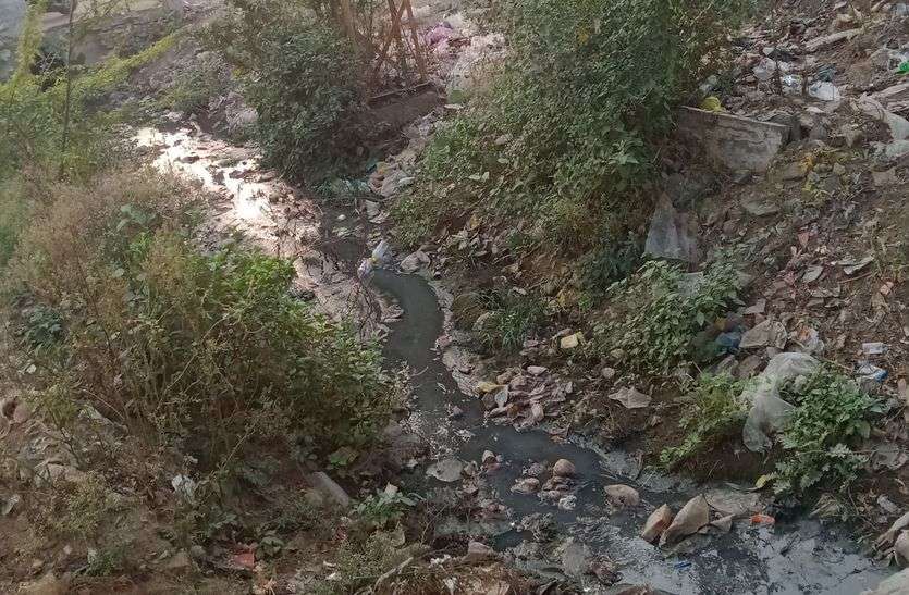 यहां मच्छरों ने जीना कर दिया दुश्वार यहां मच्छरों ने जीना कर दिया दुश्वार