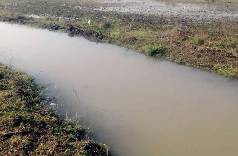 वितरिका हुई ओवरफ्लों, सूचना देकर कम करवाया जलप्रवाह वितरिका हुई ओवरफ्लों, सूचना देकर कम करवाया जलप्रवाह