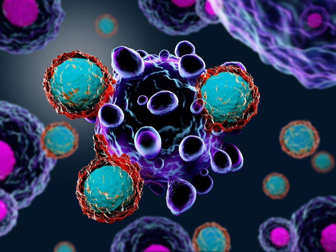 cancer-cell-attacked-by-immune-cells.jpg