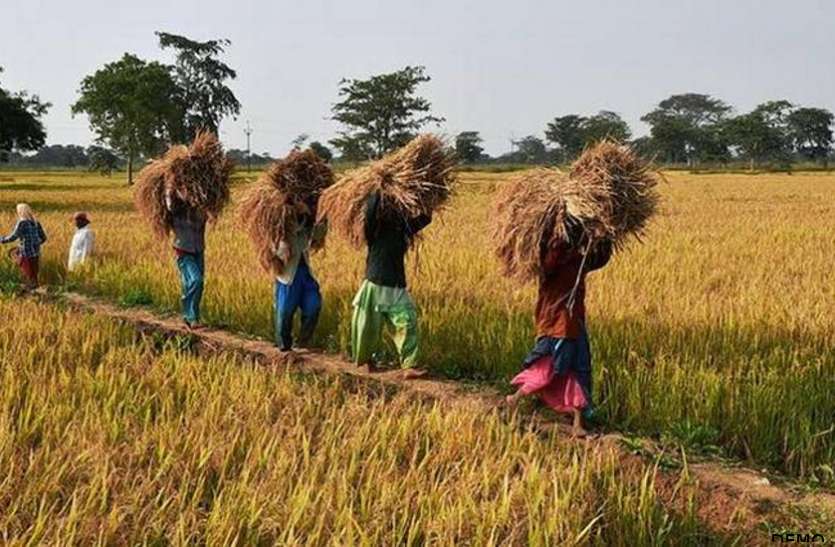 chhattisgarh_farmers.jpeg व्यापारी ने किसानो को धमकाया, IG हैं मेरे मौसा जहां शिकायत करनी है करो