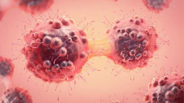 electromagnetic-fields-may-help-prevent-spread-of-breast-cancer-cells-322653.jpg