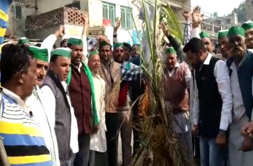 farmers.jpg किसान यूनियन ने चौराहे पर जलाया गन्ना, ज्ञापन सौंपकर दी यह बड़ी चेतावनी- देखें वीडियो