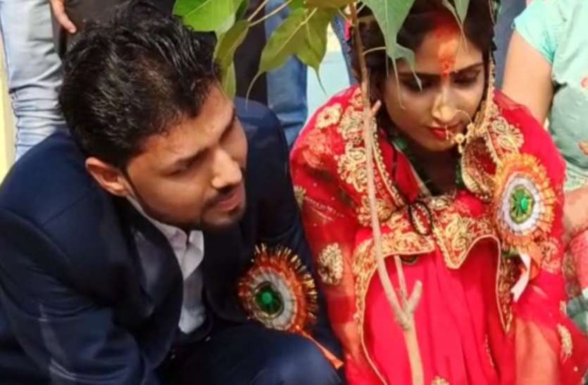 married couple take oath नवविवाहित जोड़े ने पर्यावरण को सुरक्षित रखने के लिए उठाया ऐसा कदम, हर तरफ हो रही वाहवाही