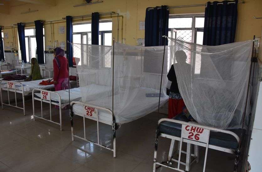 Mosquito nets will beat stings in bhilwara मच्छरदानी देगी डंक को मात