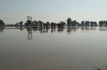 Canal broken अस्थाई एसटीजी नहर टूटी, पचास बीघा भूमि जलमग्न, बिजाई प्रभावित