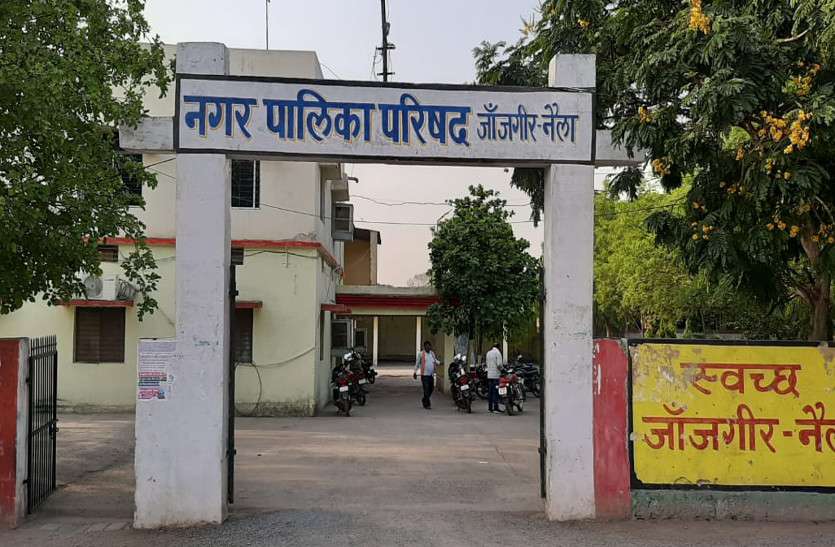 बीजेपी ने 18 नए चेहरों पर जताया भरोसा, ये प्रत्याशी इस वार्ड से ठोकेंगे ताल बीजेपी ने 18 नए चेहरों पर जताया भरोसा, ये प्रत्याशी इस वार्ड से ठोकेंगे ताल