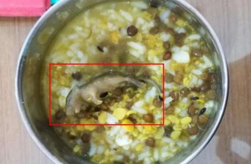 mid-day-meal_1575368361.jpg BIG NEWS: मिड डे मील की दाल के साथ पका दिया चूहा, इसके बाद दिखा खौफनाक मंजर, देखें वीडियो