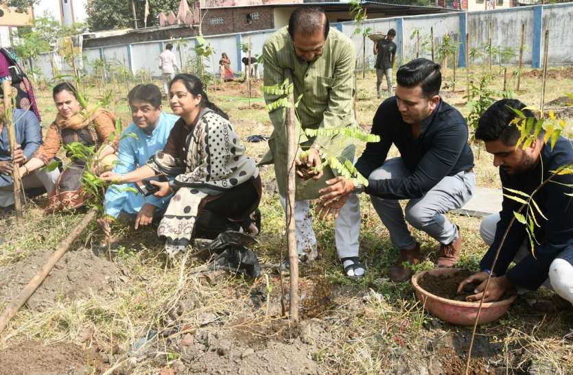 दुल्हे और बारातियों ने किया पौधारोपण दुल्हे और बारातियों ने किया पौधारोपण