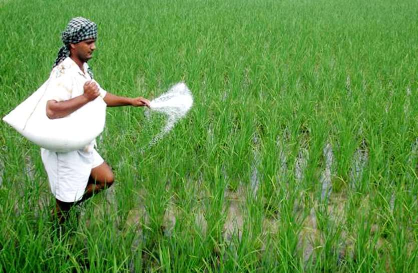 reality of urea in Madhya Pradesh खाद की किल्लत की हकीकत जानने मैदान में उतरेगी कमलनाथ सरकार