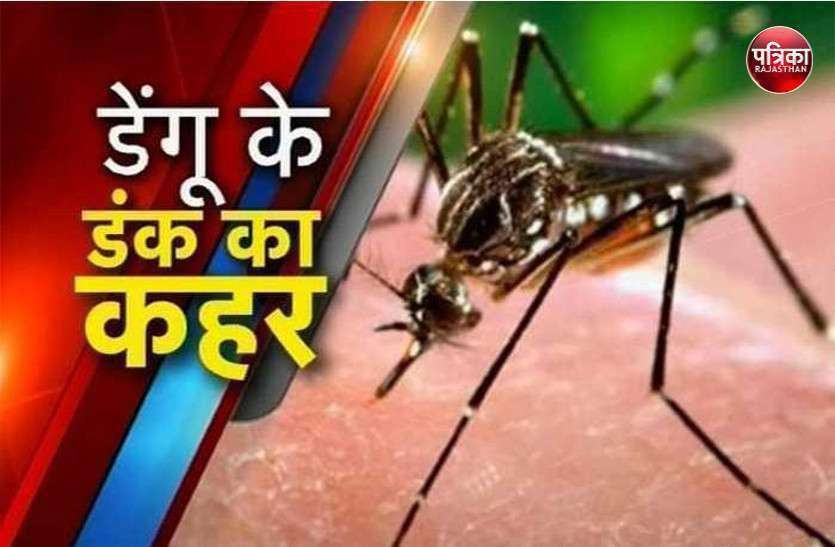one person death from dengue in dausa : death from dengue डेंगू पॉजिटिव युवक की जयपुर में उपचार के दौरान मौत